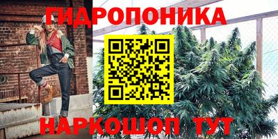шишки Малоярославец