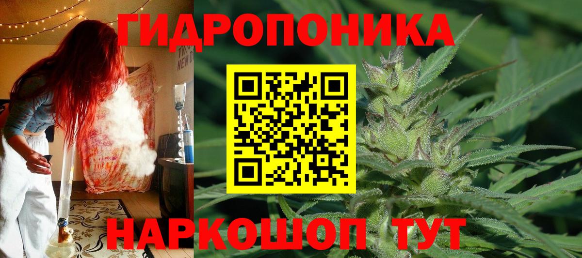 Узловая  Канабис конопля  Марихуана Bruce Banner  Вход с VPN  Марихуана планчик  Конопля конопля 